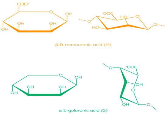 Polymers 13 01592 g006 550