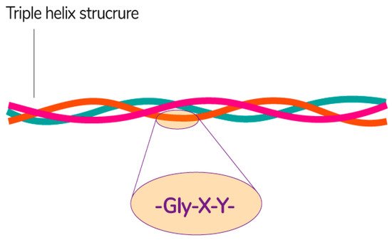 Polymers 13 01592 g008 550