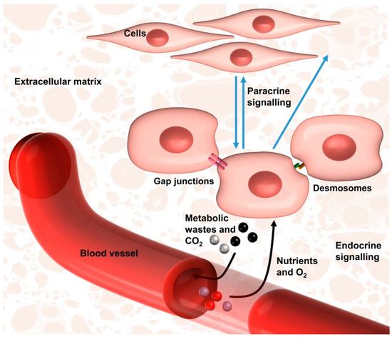 Processes 09 00935 g003 550