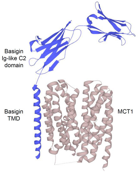 Ijms 22 05518 g002 550