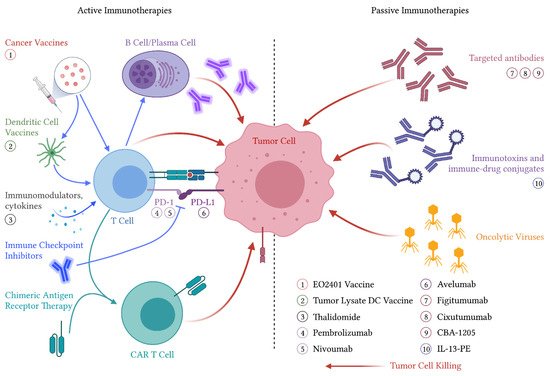 Cancers 13 02660 g001 550