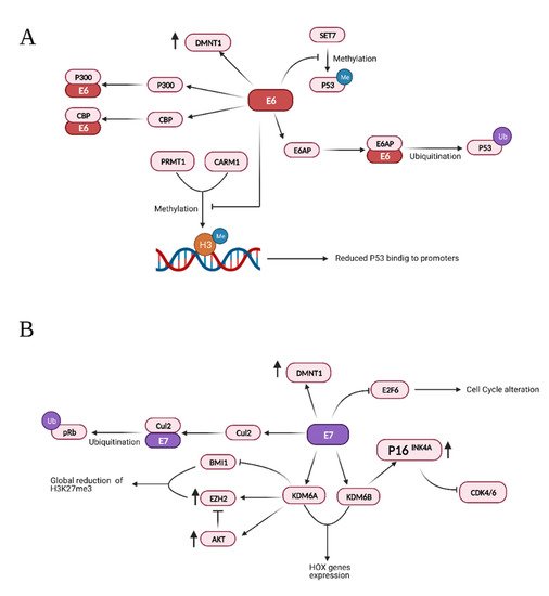 Microorganisms 09 01179 g003 550