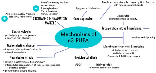 Nutrients 13 01800 g002 550