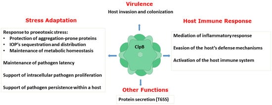 Ijms 22 05319 g003 550