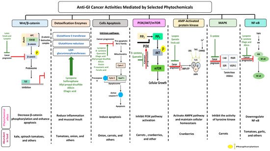 Biomolecules 10 00105 g002 550