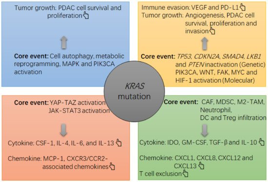 Cancers 13 02429 g001 550