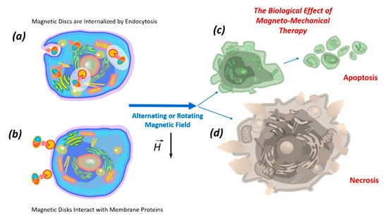 Nanomaterials 11 01459 g003 550
