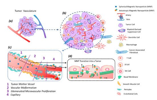 Nanomaterials 11 01459 g005 550