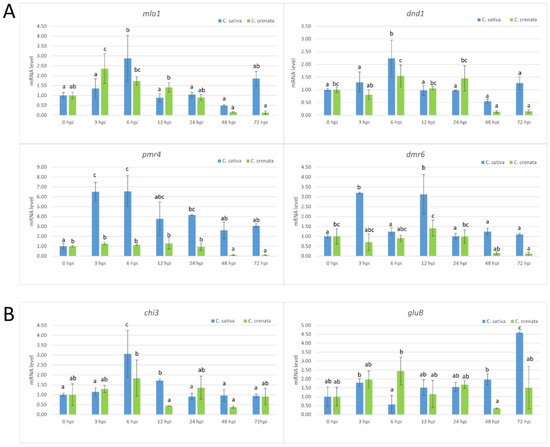 Plants 10 00913 g005 550