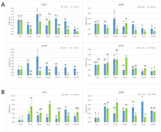 Plants 10 00913 g007 550