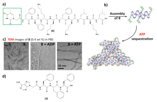 Molecules 26 03558 g009 550