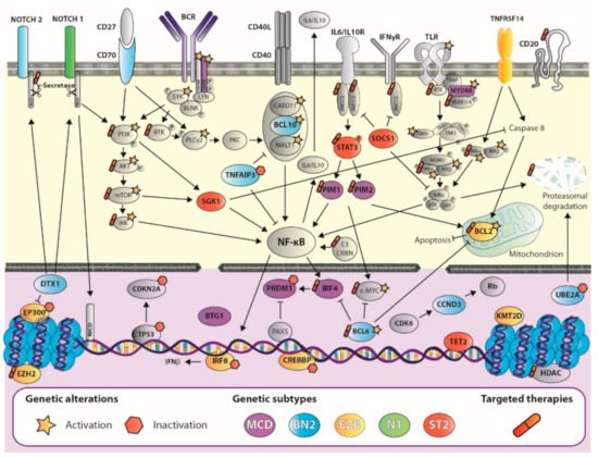 Cancers 13 02893 g001 550