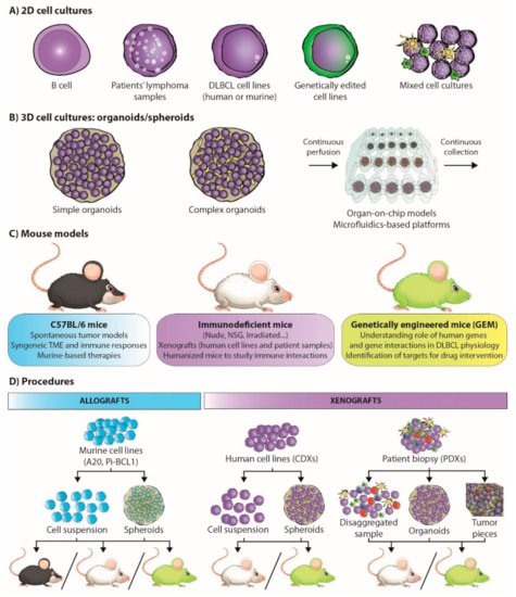 Cancers 13 02893 g002 550