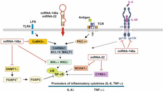Biomolecules 11 00851 g003 550