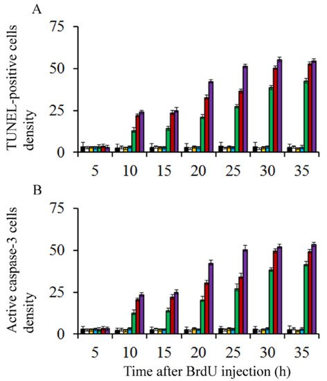 Cells 10 01453 g002 550