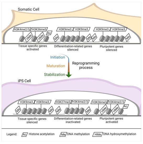 Cells 10 01470 g002 550