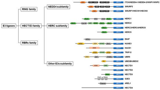 Ijms 22 06065 g001 550