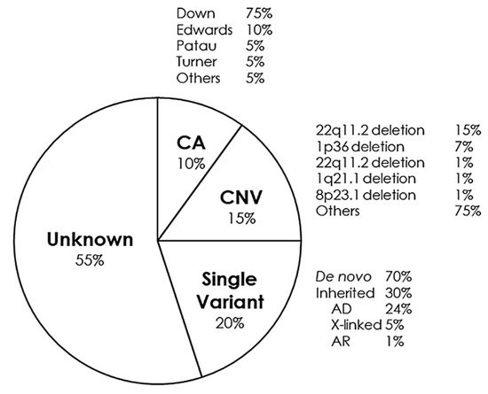 Jpm 11 00562 g002 550