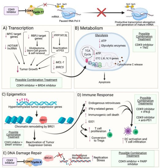 Cancers 13 03039 g002 550