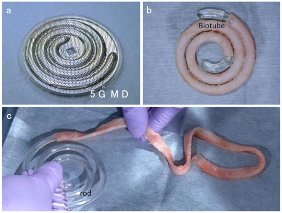 Kidneydial 01 00002 g002 550