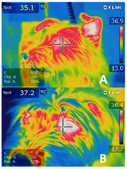 Animals 11 01733 g005 550