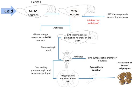 Animals 11 01733 g008 550