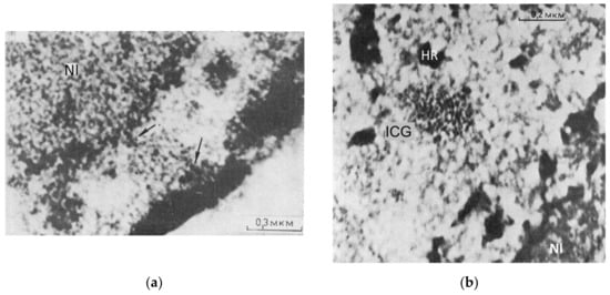 Cells 10 01582 g008a 550