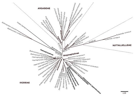 Pathogens 10 00821 g002 550