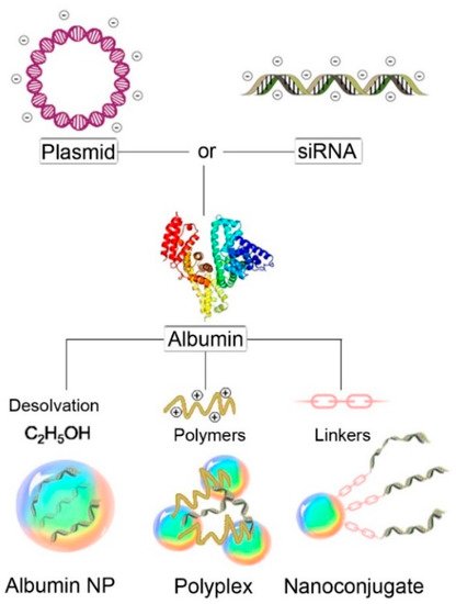 Cancers 13 03454 g002 550