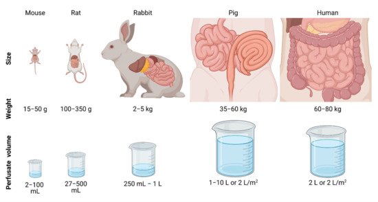 Cancers 13 03430 g002 550