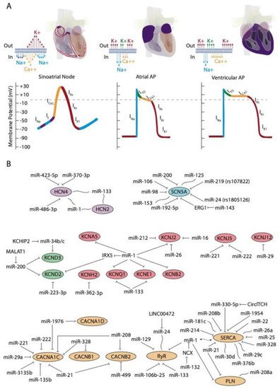 Hearts 02 00026 g001 550