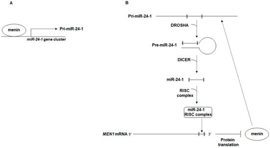 Ijms 22 07352 g001 550