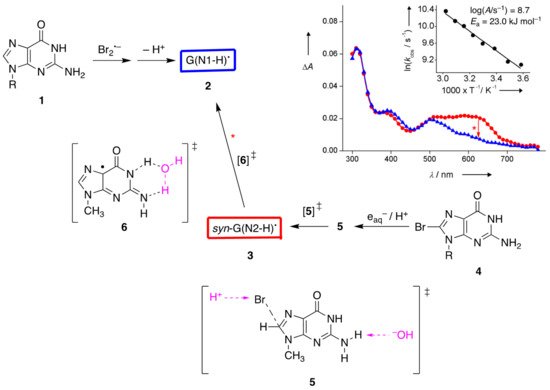 Molecules 26 03511 g003 550