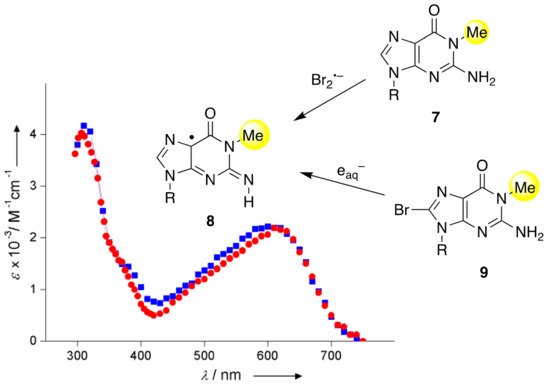 Molecules 26 03511 g004 550
