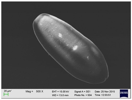 Foods 10 01614 g002 550