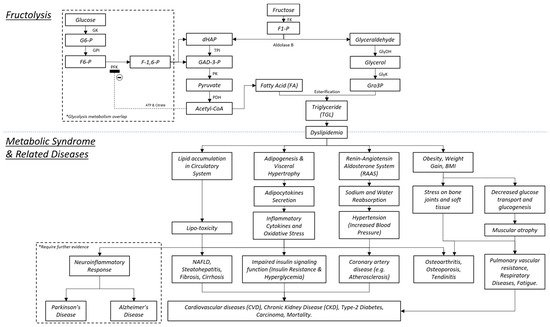 Nutrients 13 02497 g001 550