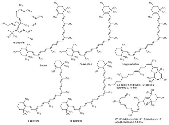 Antioxidants 08 00426 g003 550