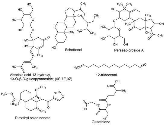 Antioxidants 08 00426 g008 550