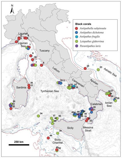 Diversity 13 00334 g001 550