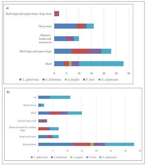 Diversity 13 00334 g004 550