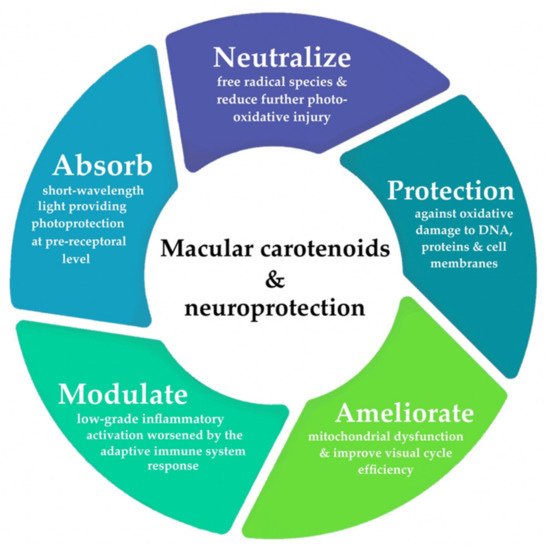 Antioxidants 10 01255 g001 550
