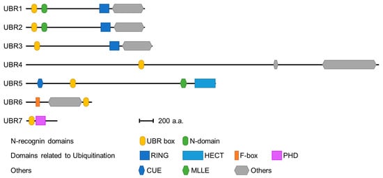 Ijms 22 08323 g002 550
