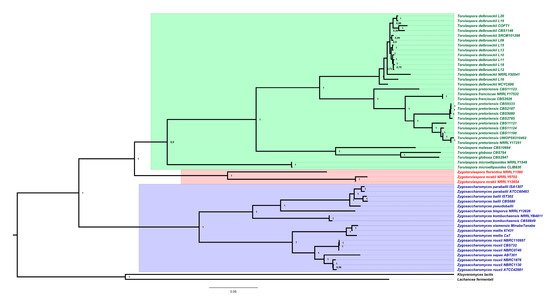 Jof 07 00712 g002 550