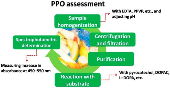 Applsci 11 07813 g005 550