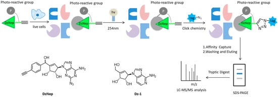 Molecules 26 05368 g003 550