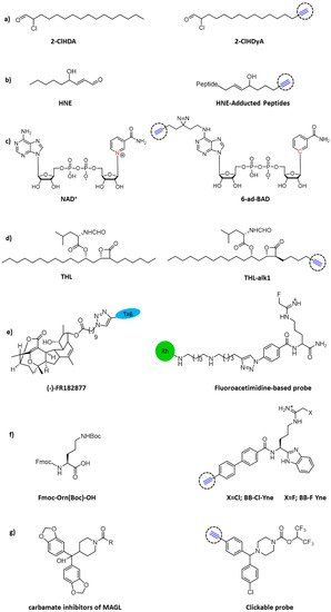 Molecules 26 05368 g004 550