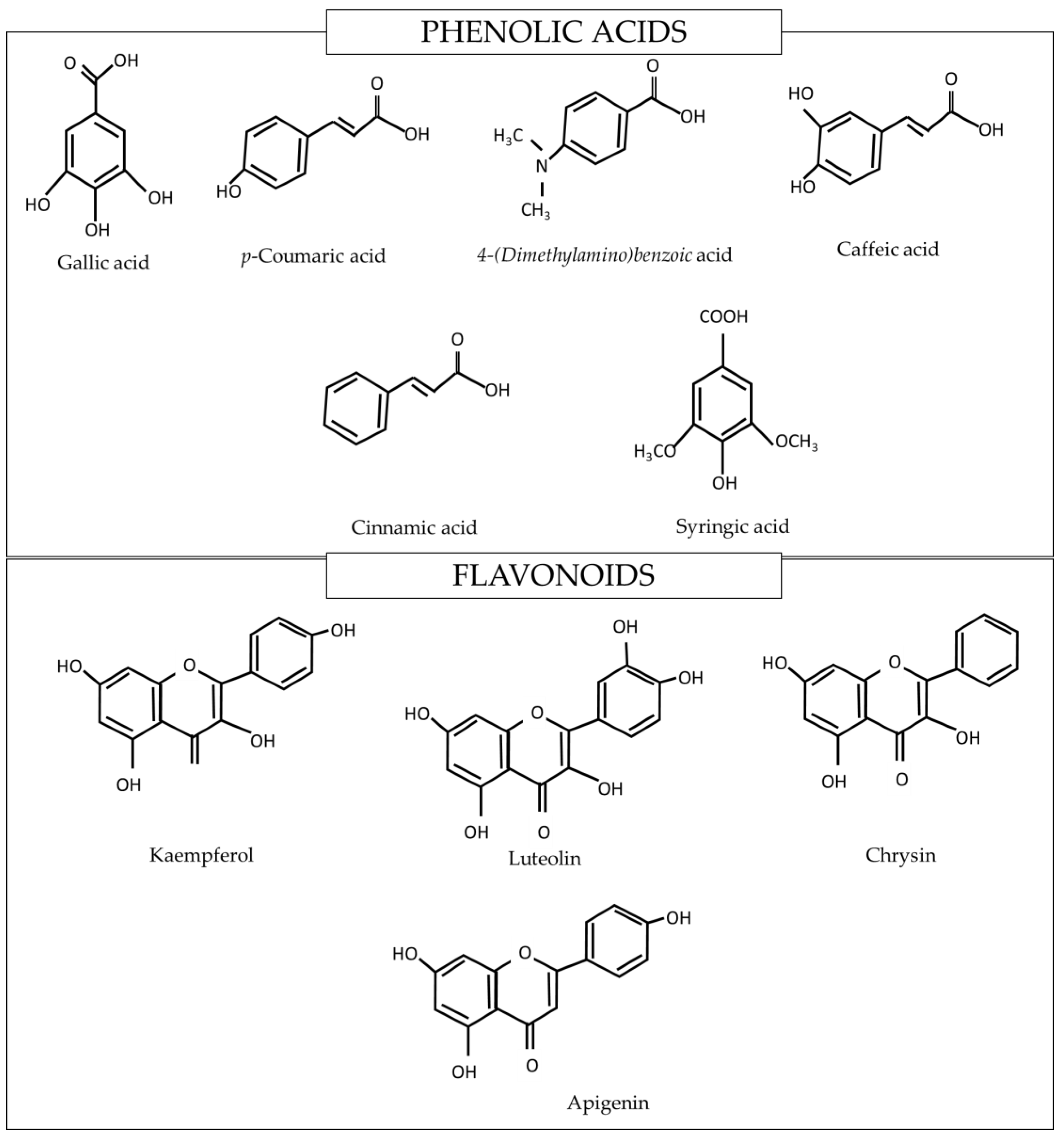 Molecules 26 05424 g001