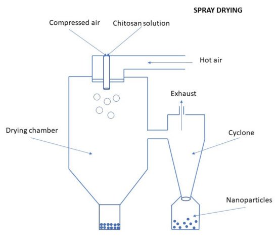 Ijms 22 09652 g009 550