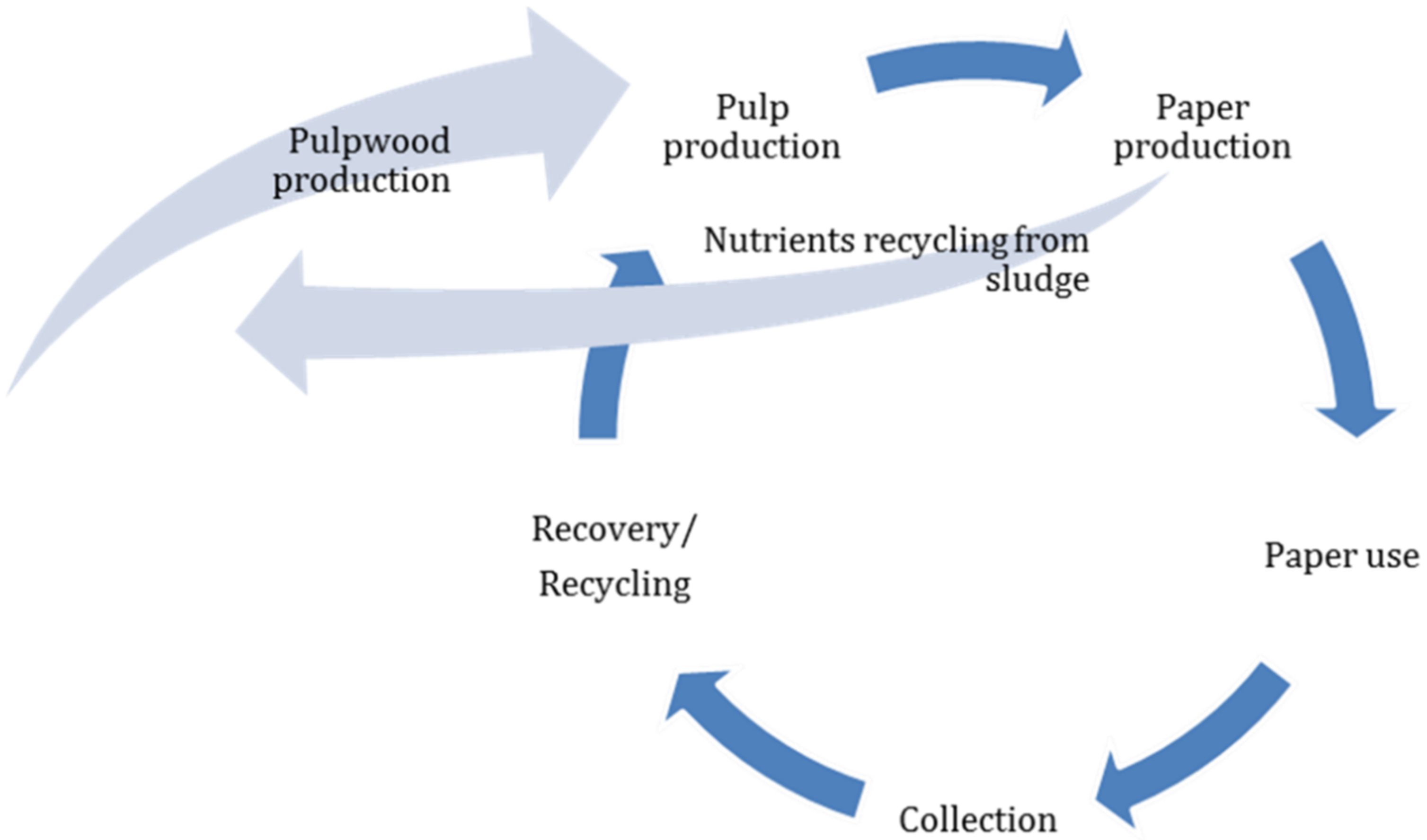 Sustainability 13 10169 g001