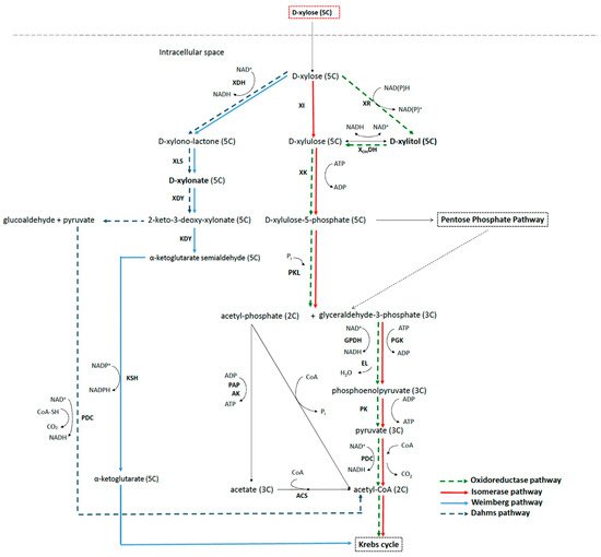 Applsci 11 08112 g001 550